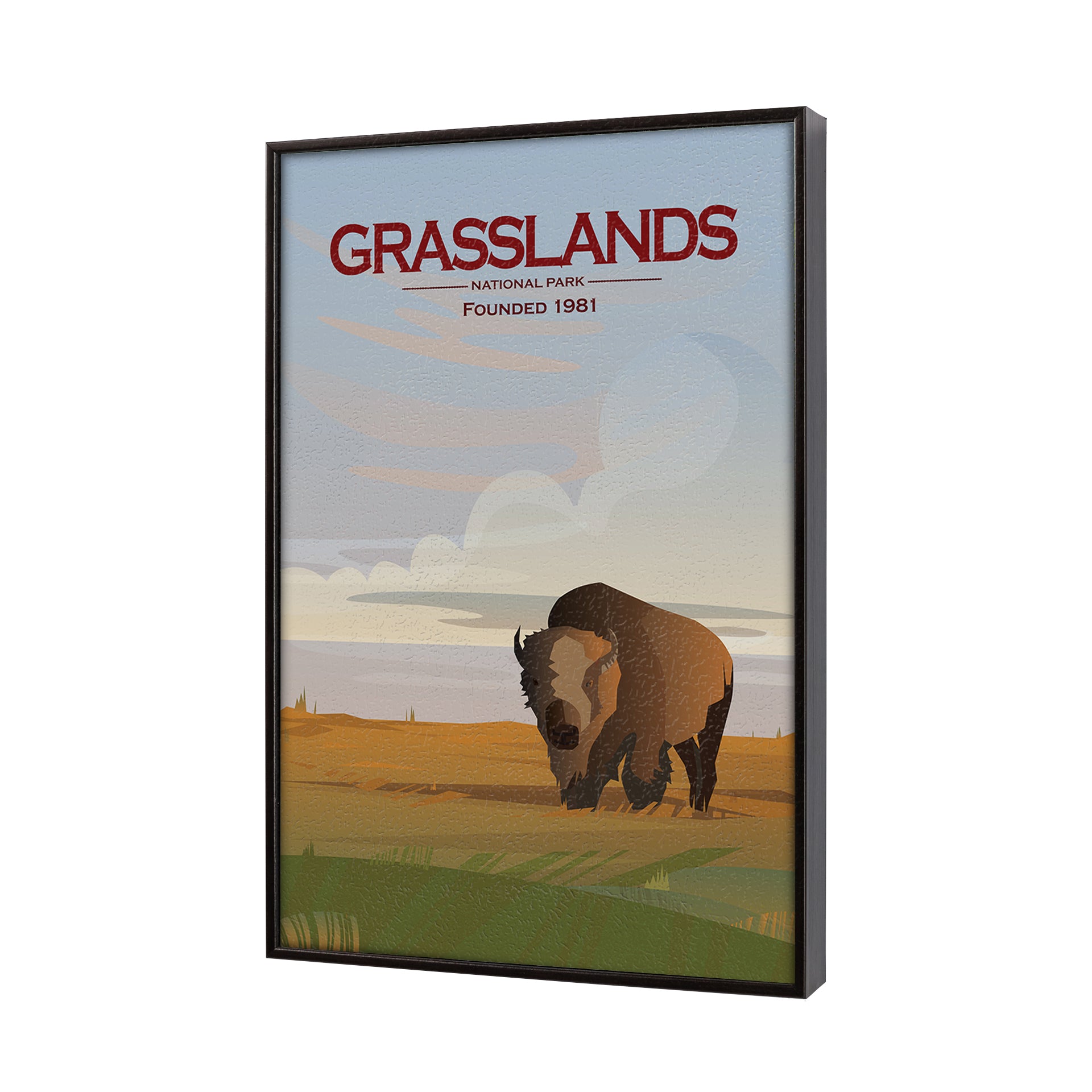 Framed poster of a bison in a grassland with 'Grasslands National Park' text.
