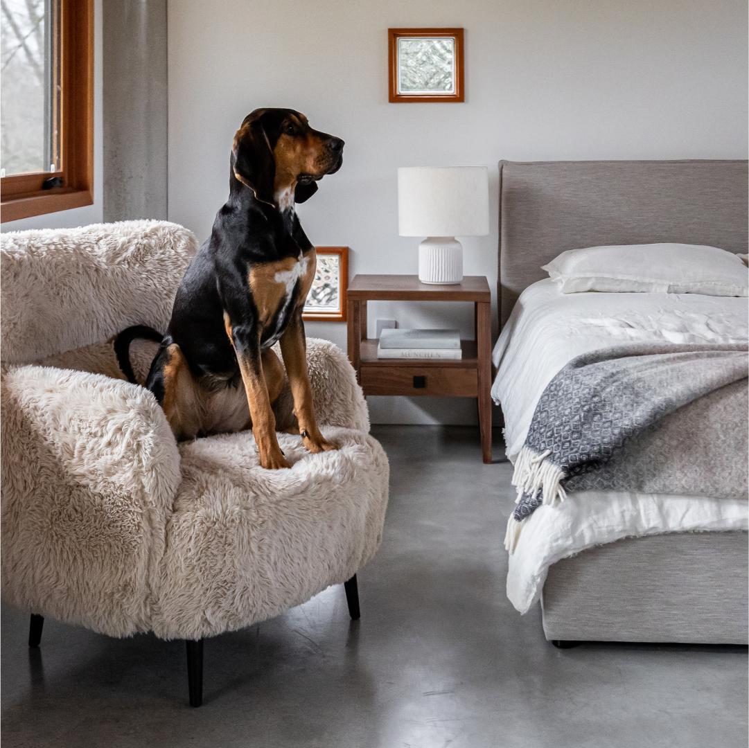 Dog sitting on a fluffy chair in a bedroom with a bed and nightstand.