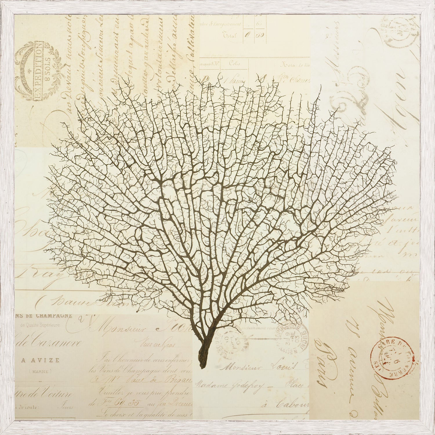 Document Sea Fern I wall art featuring a detailed fern illustration on vintage paper background.