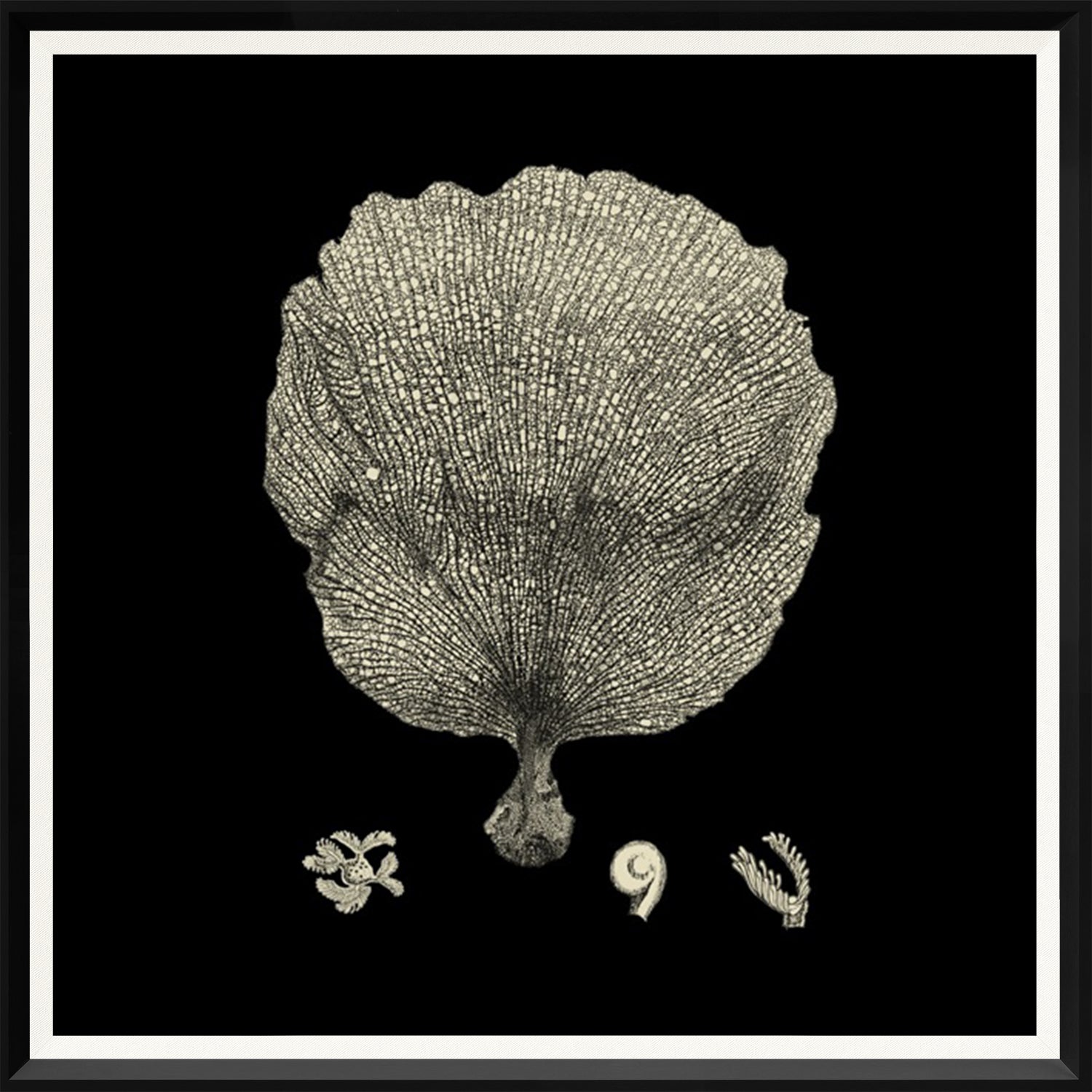 Black & Tan Coral II wall art featuring a detailed coral illustration on a black background.