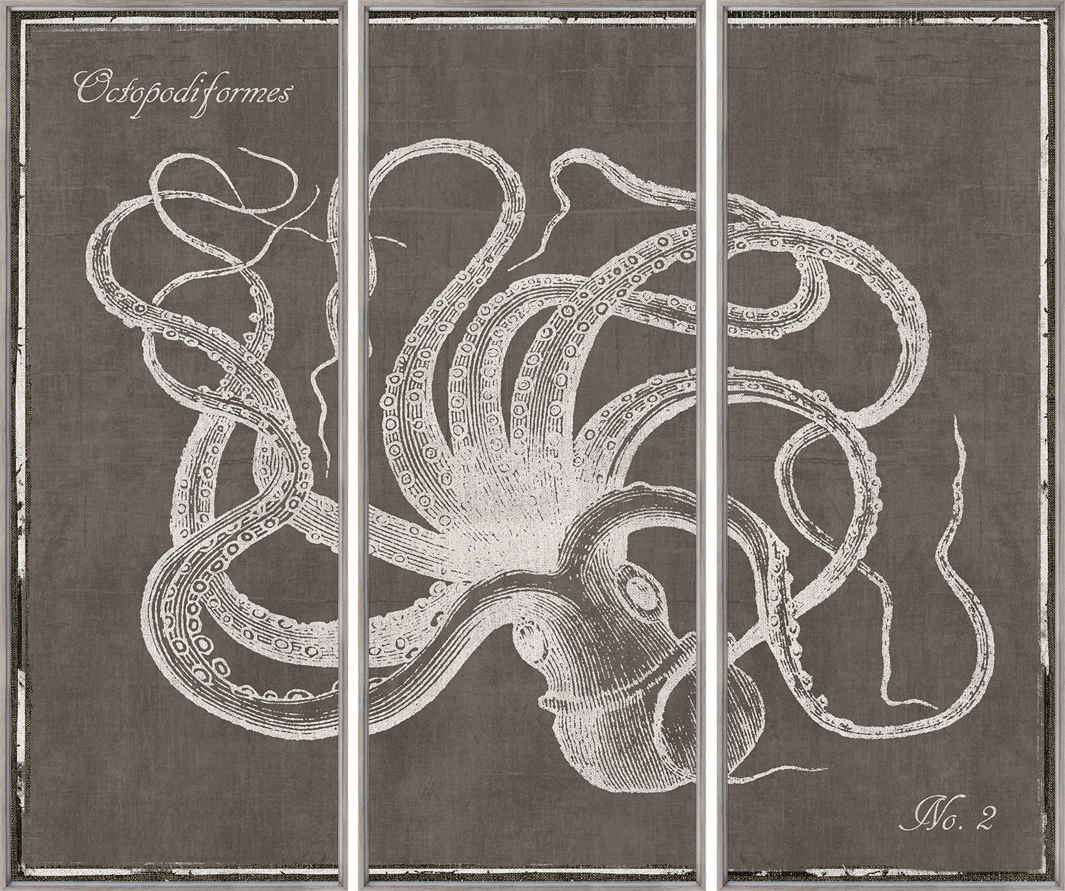Tríptico de pulpo J/3