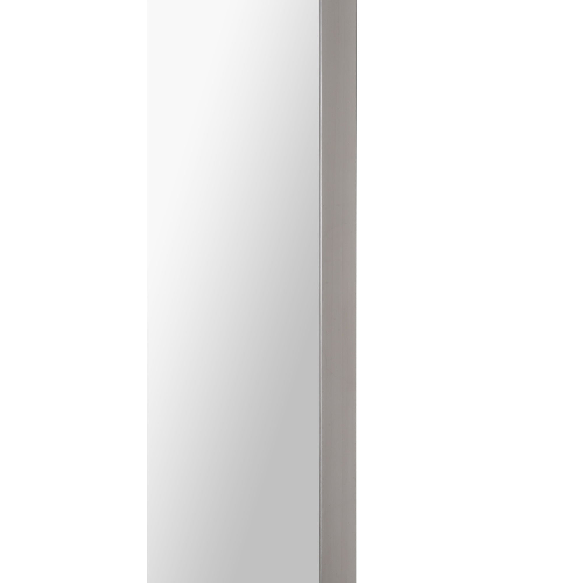 Delfín
