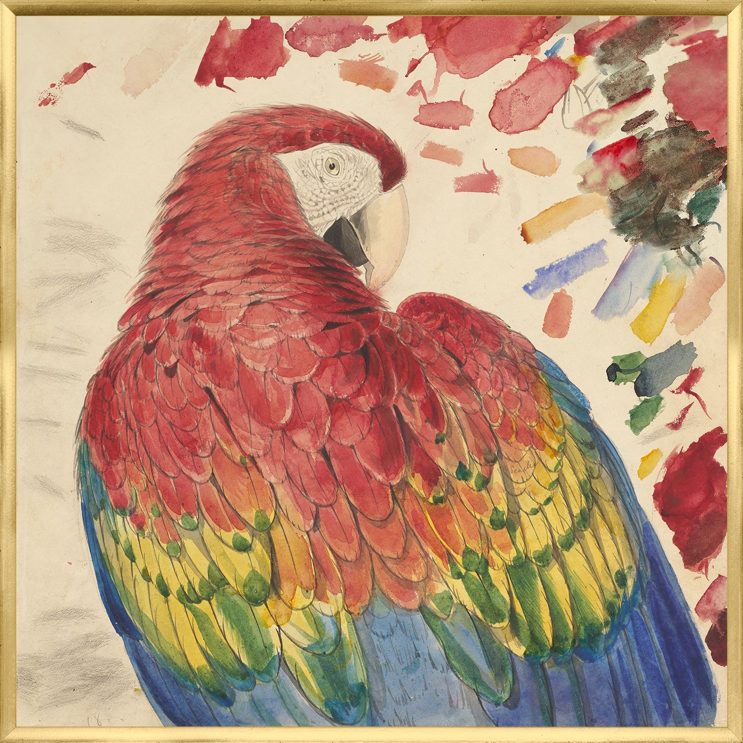 Guacamayo rojo y amarillo Lear