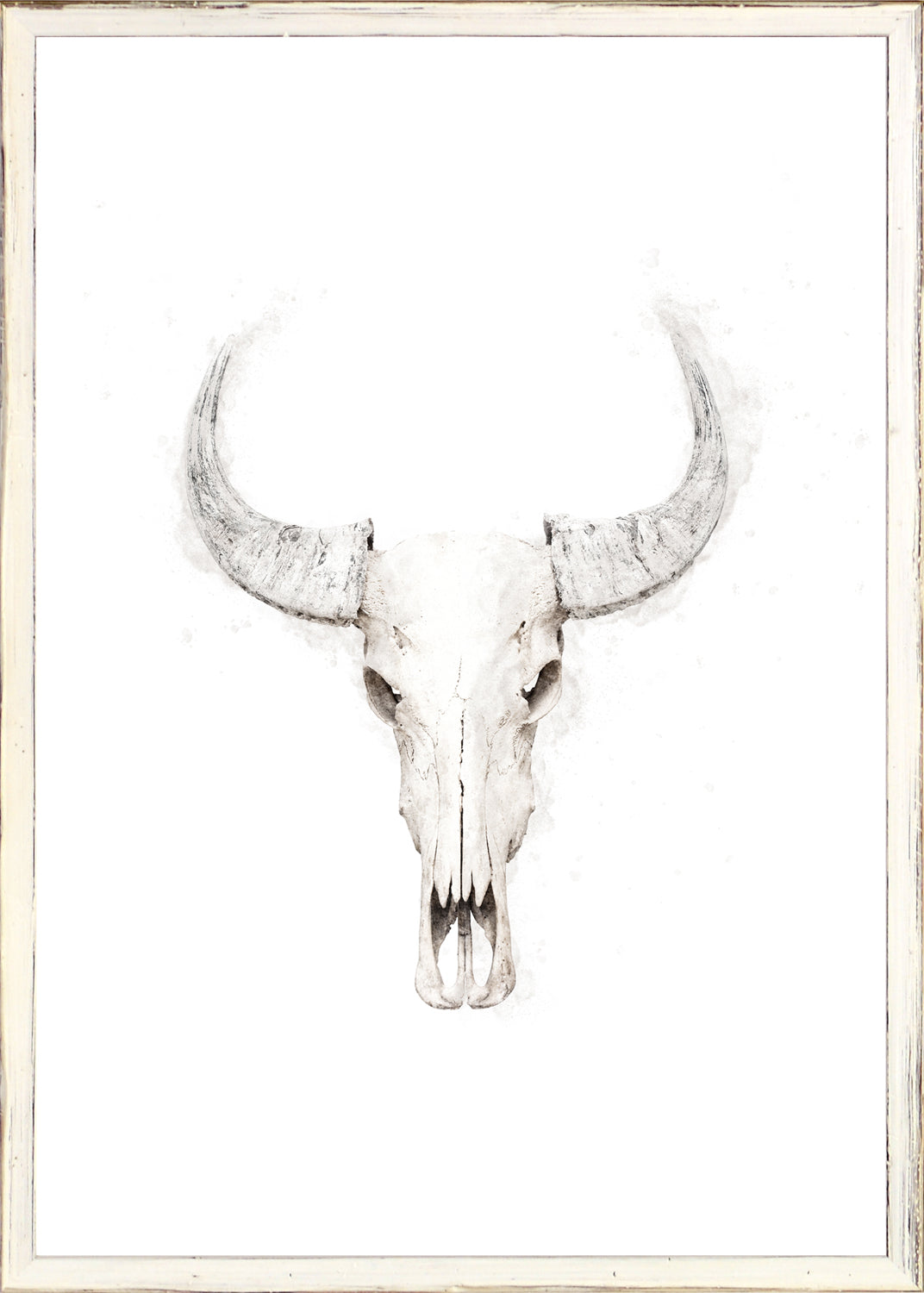 Cráneo de bisonte