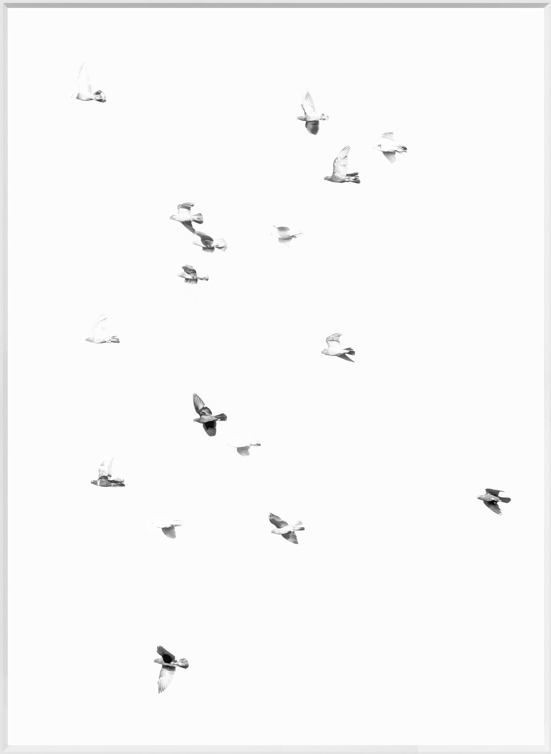 Flight Path II