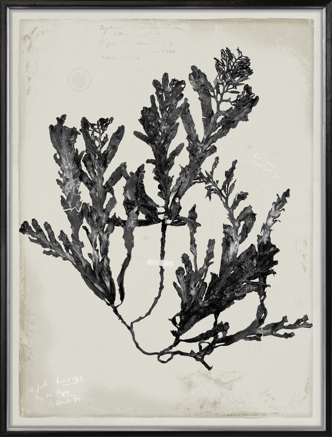 De Mari Series Iii 2 framed art print