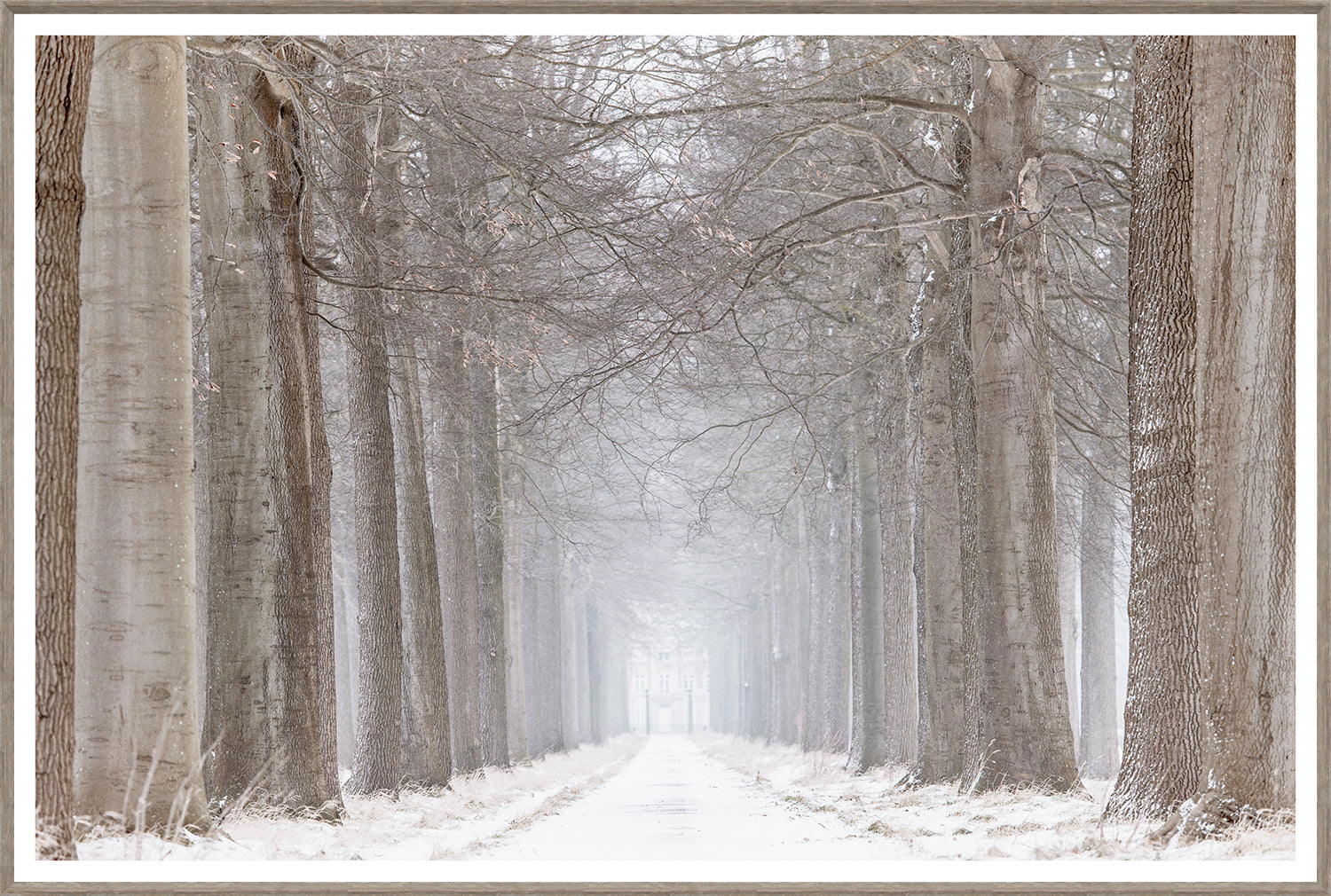 Almost Home wall art featuring a misty tree-lined path with bare branches and soft lighting.
