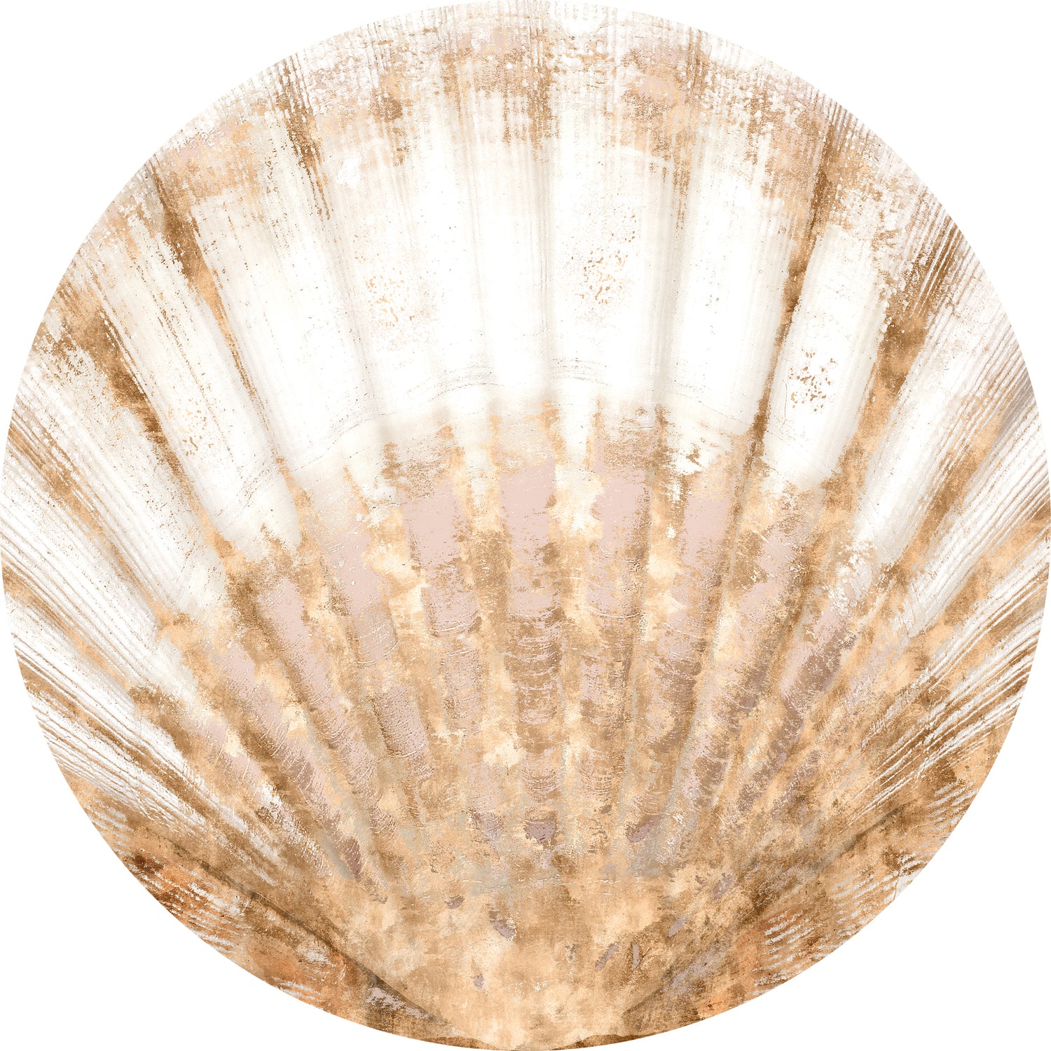 Nautilus VI