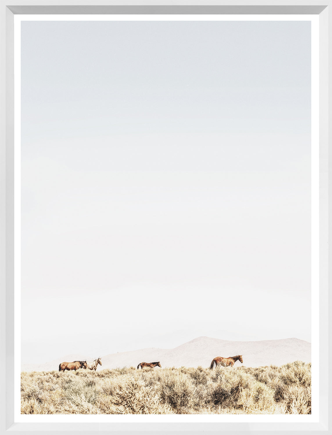 Sage Ridge, Chevaux