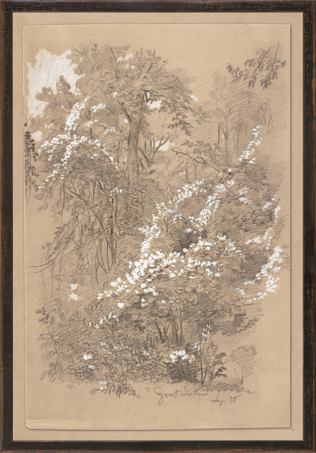 Northern Collection – Goat Island C. 1858 wall art featuring a nature scene with trees and white flowers.