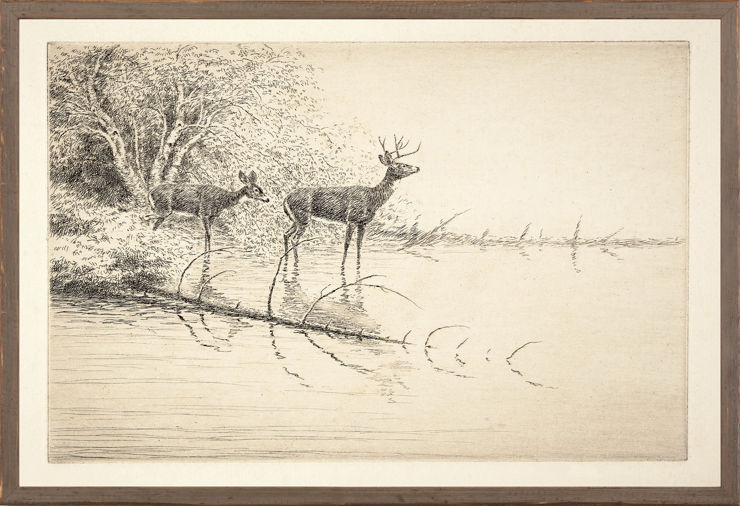 Northern Collection – White Tails in the Morning C. 1889 wall art featuring two deer by a water's edge, detailed etching.