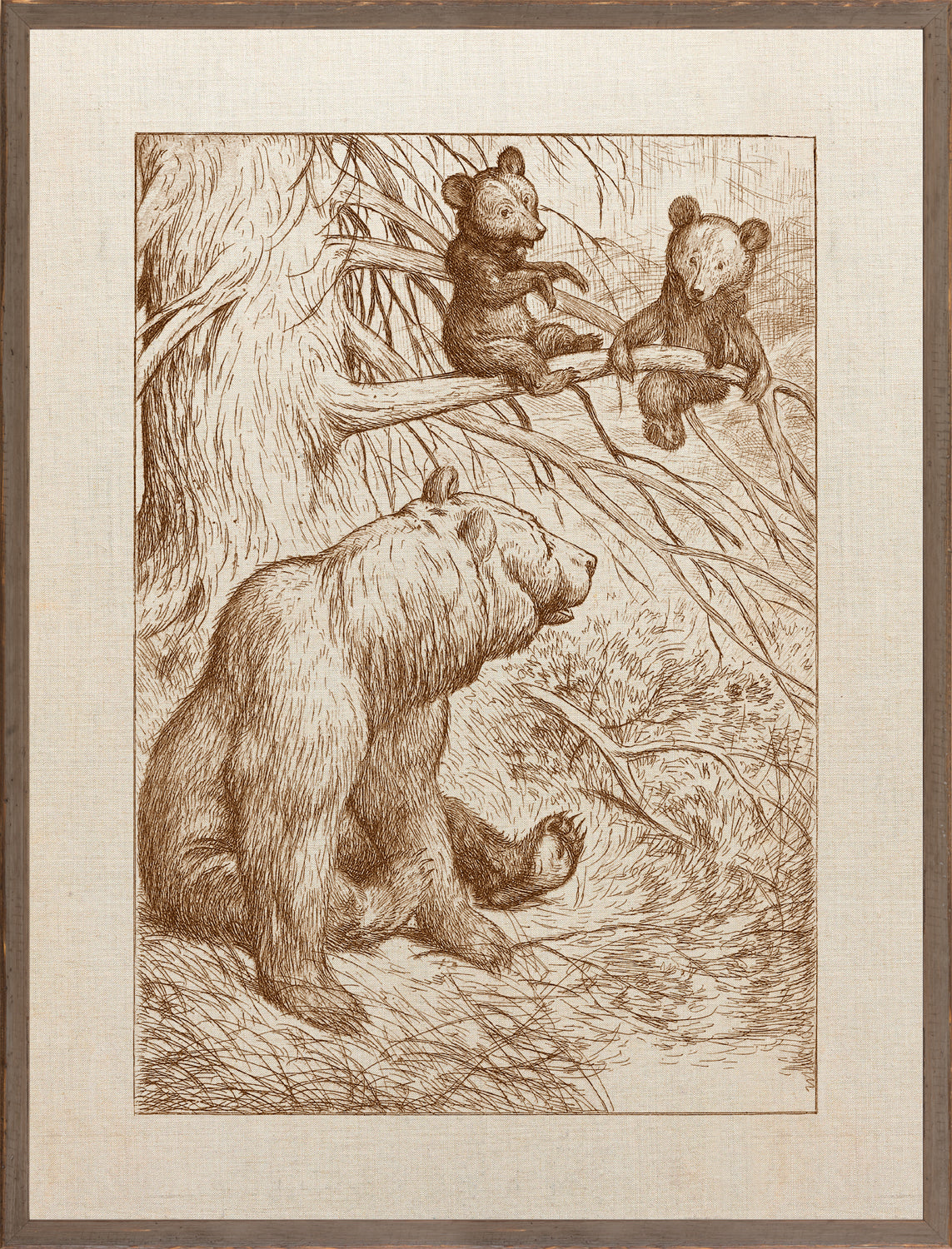Northern Collection – Mother with Cubs C. 1893 wall art featuring a bear and two cubs in a tree.