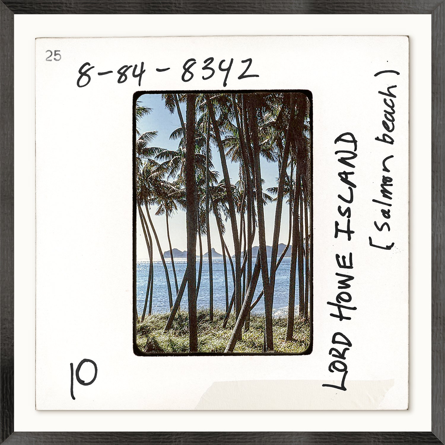 Toni Frissell Slides – Lord Howe Island, Salmon Beach C. 1960, featuring palm trees and ocean view
