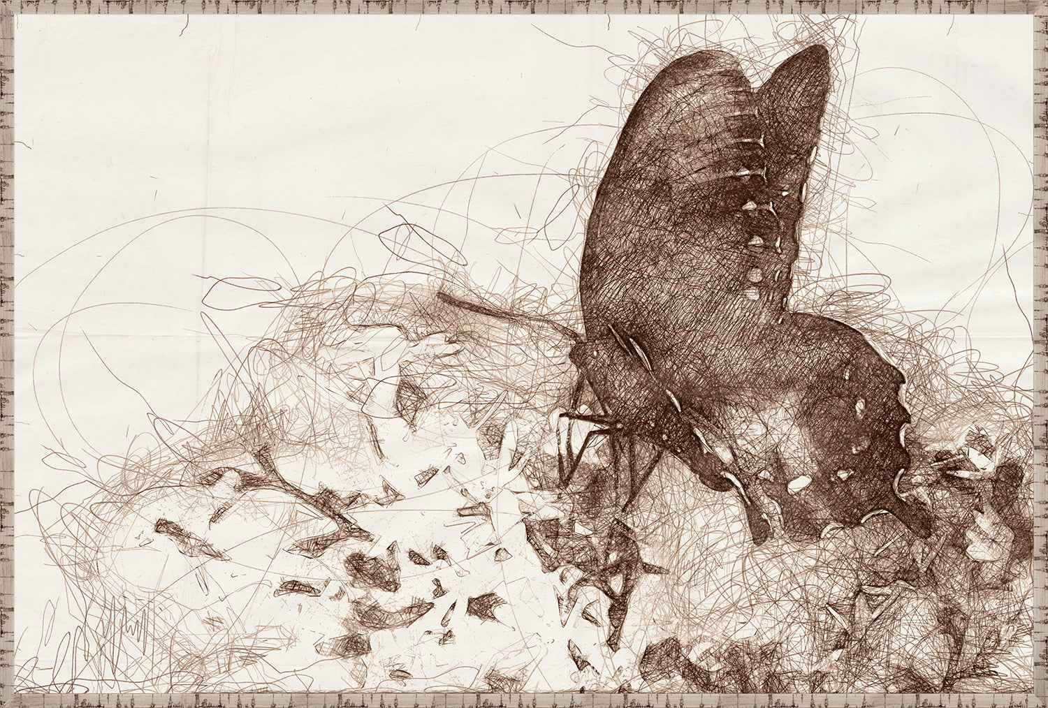 Nature Sketch – Butterfly wall art featuring a detailed brown sketch of a butterfly on a light background.