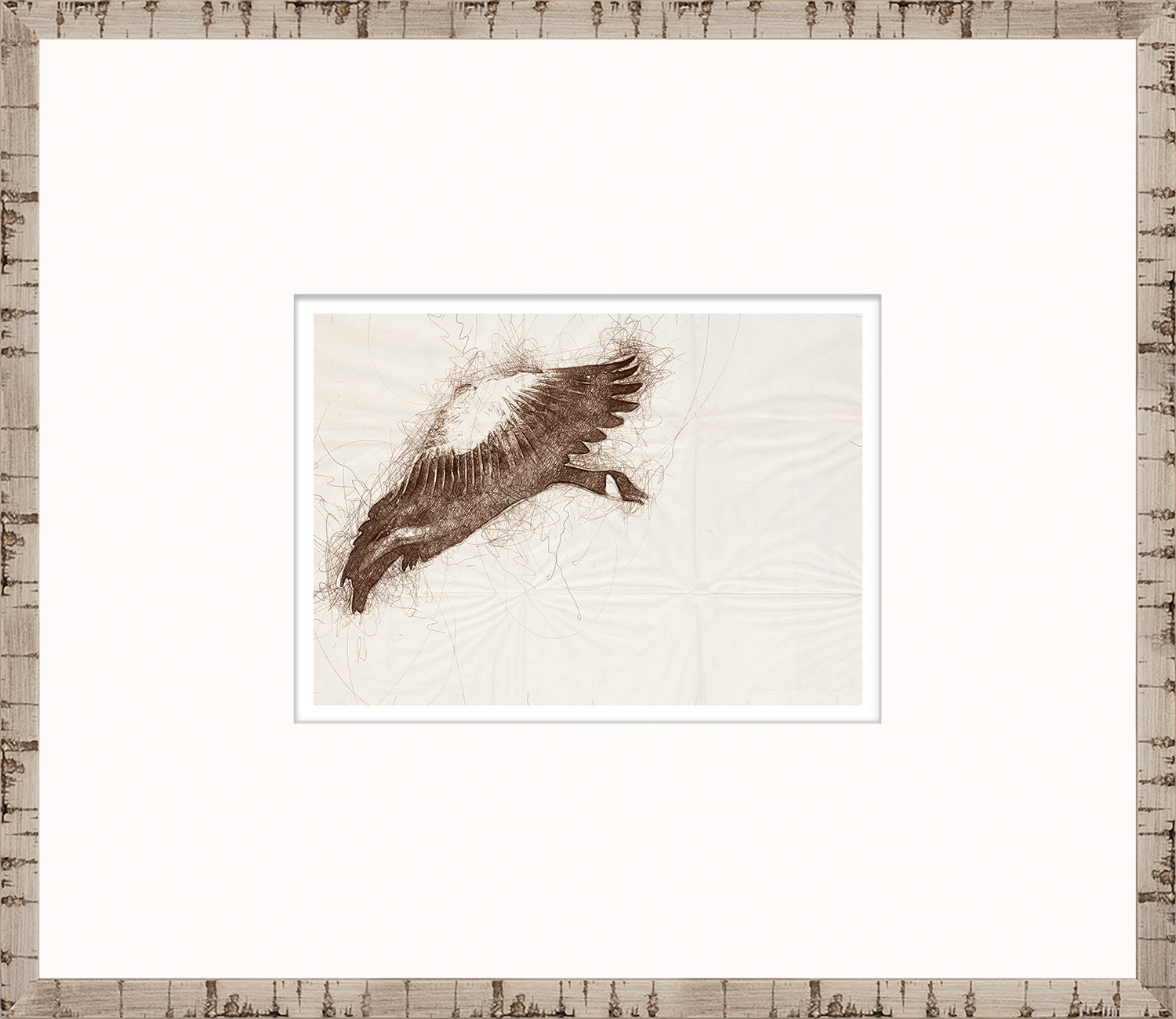 Boceto de la naturaleza – Ganso en vuelo