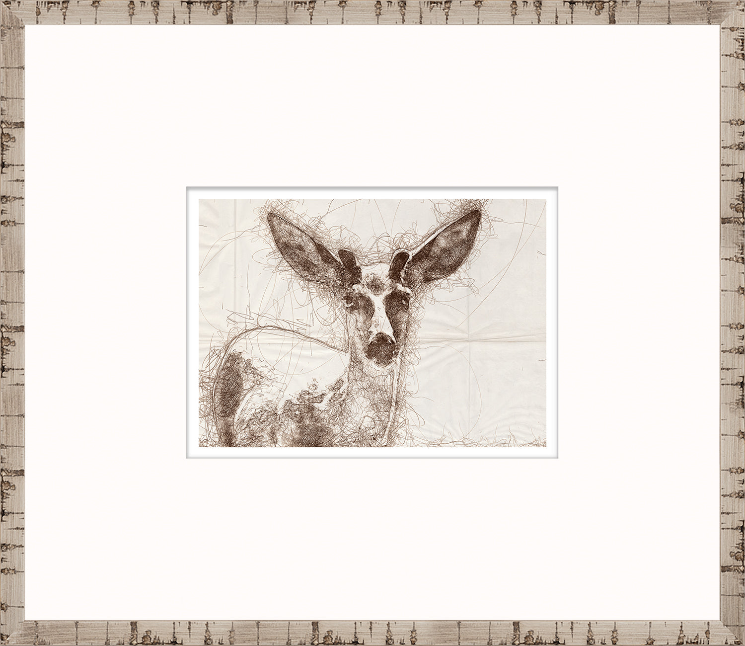 Nature Sketch – Deer Close Up