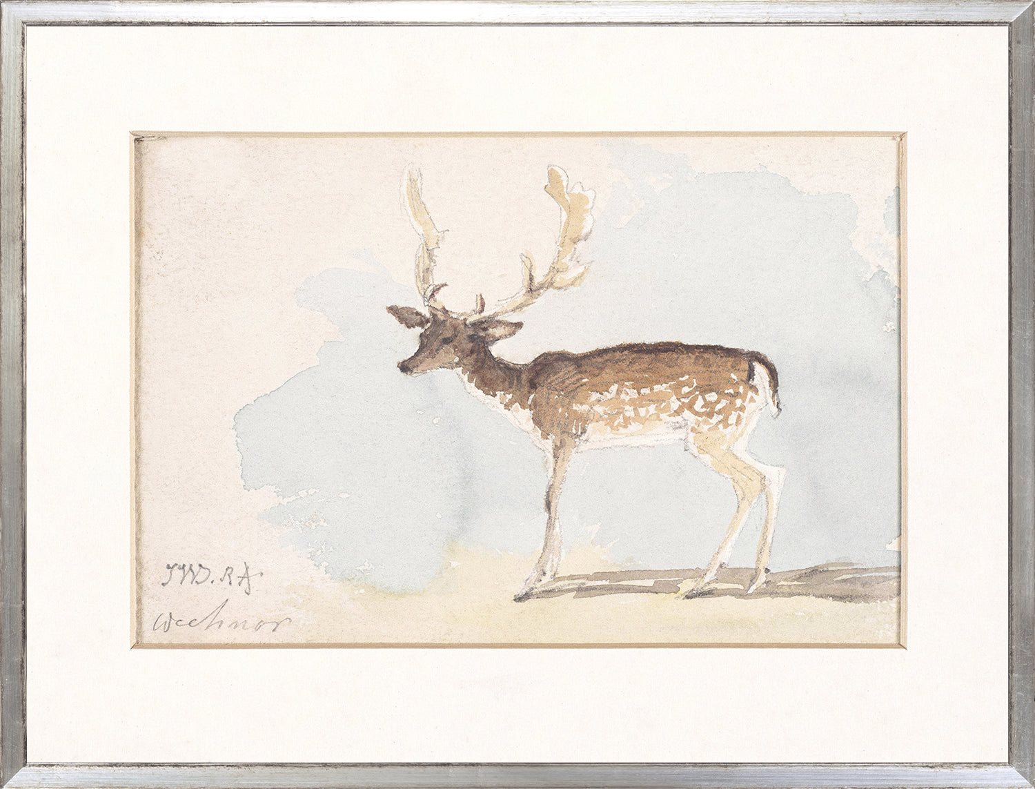 Collection 24, Watercolour Deer Study C. 1822 featuring a brown and white deer against a soft blue background, framed in silver.