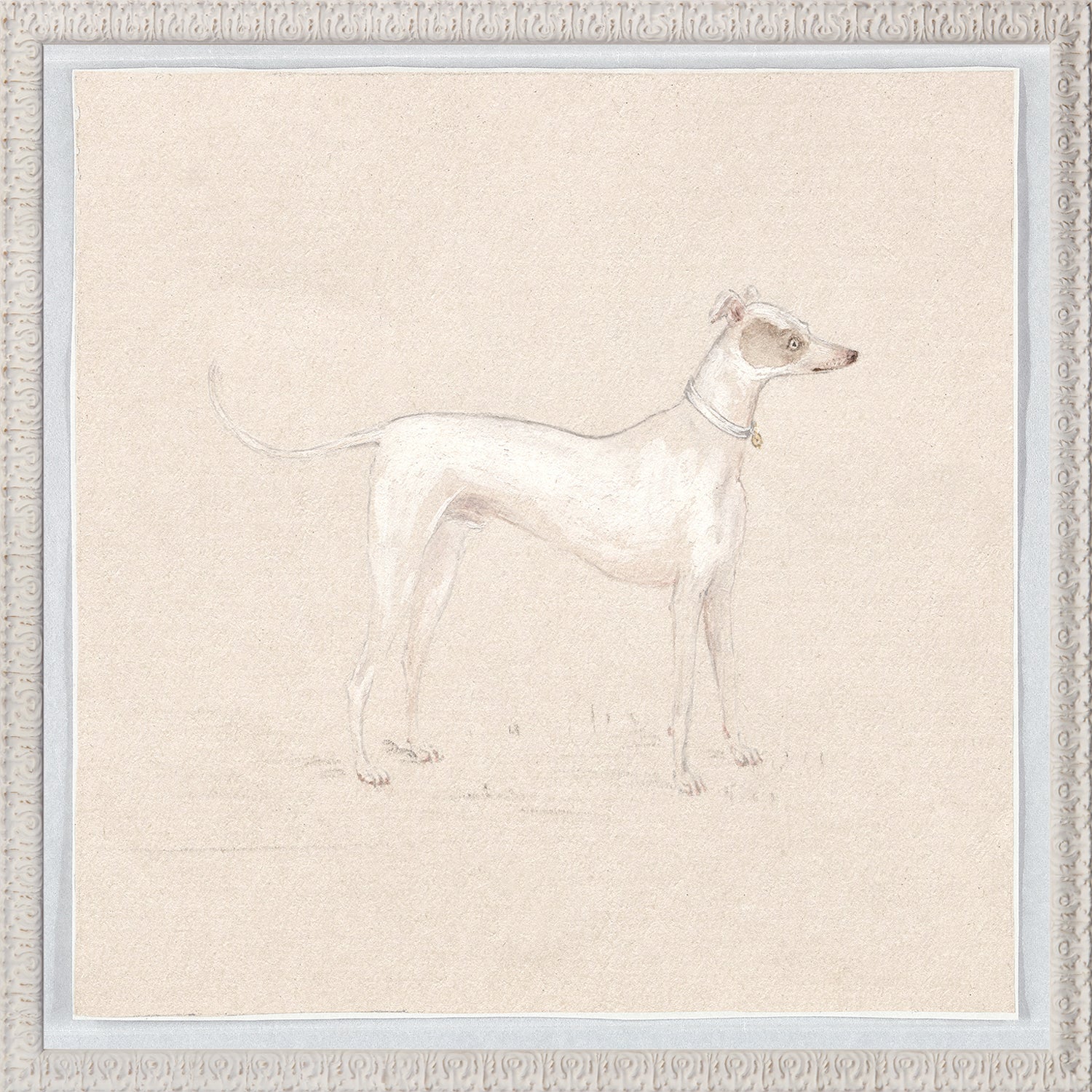 Collection 24, Pastel Dog Study C. 1820 featuring a slender white dog with a brown patch, framed in ornate white.
