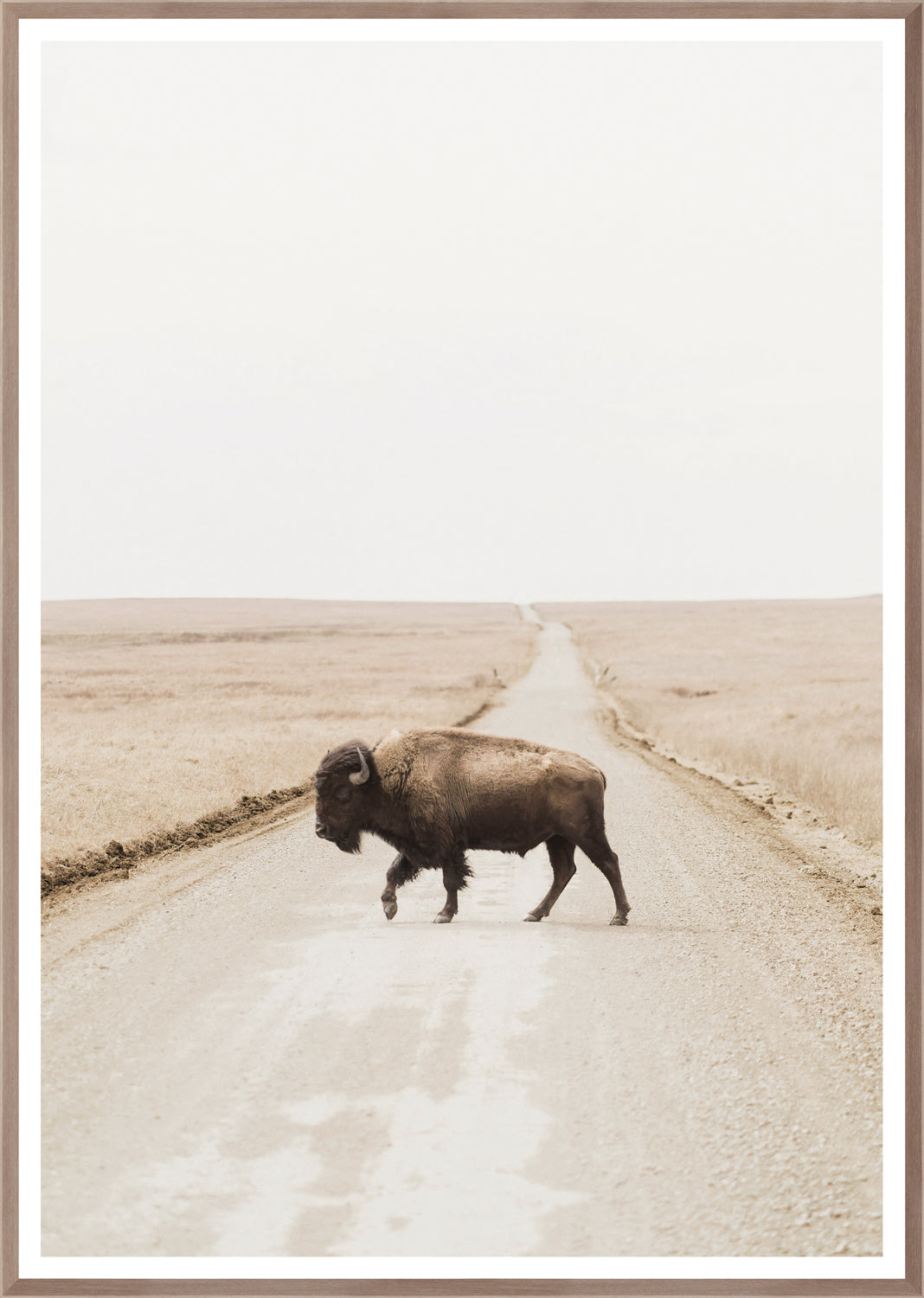 Prairie Range wall art featuring a buffalo crossing a dirt road in a muted landscape, framed in light wood.