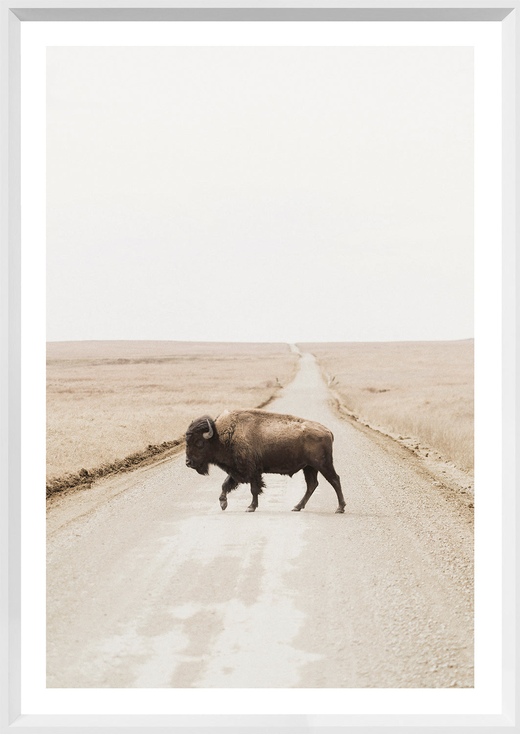 Prairie Range