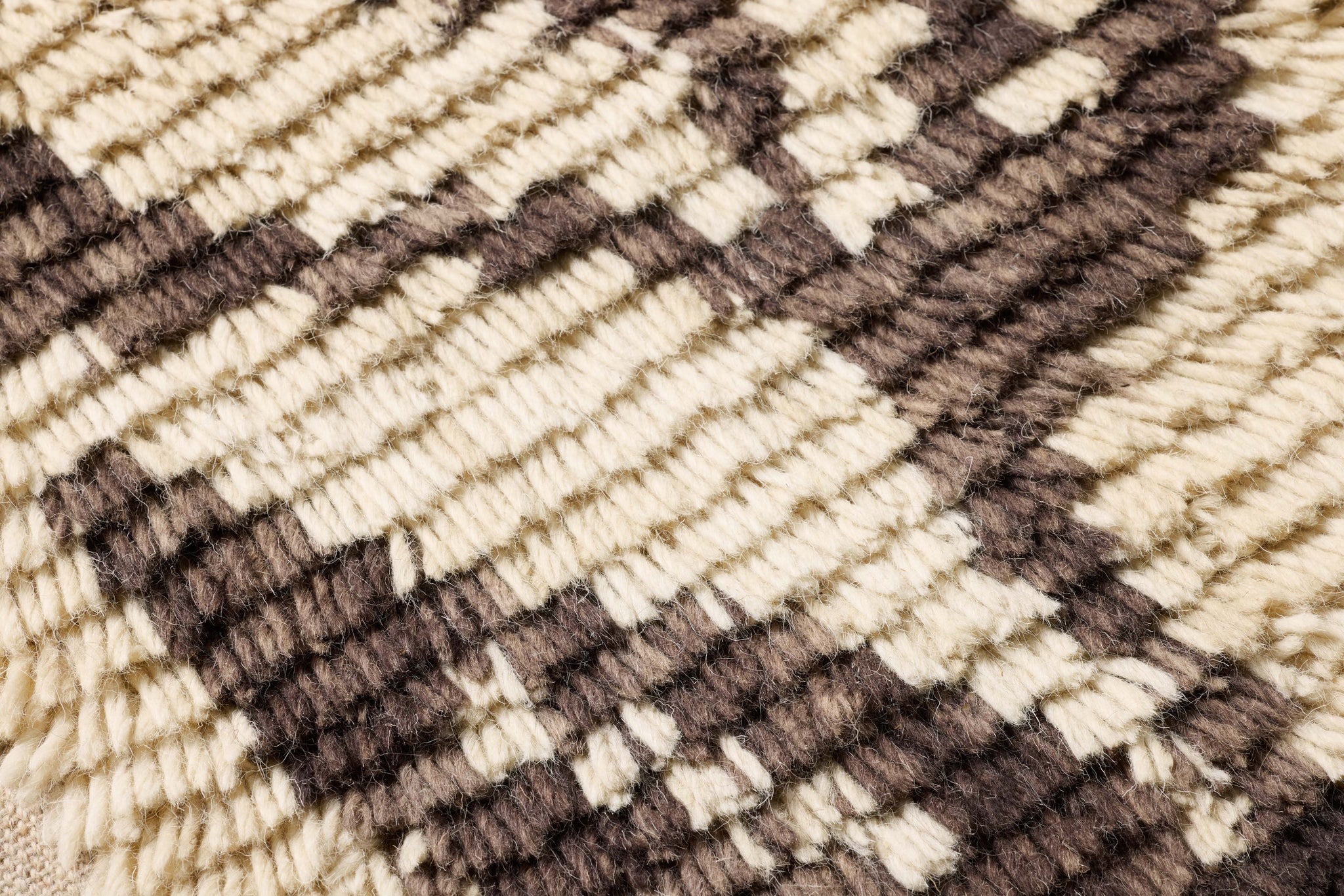 Nature's Unfurling Dark Brown Rug Art - Macro Detail (H)