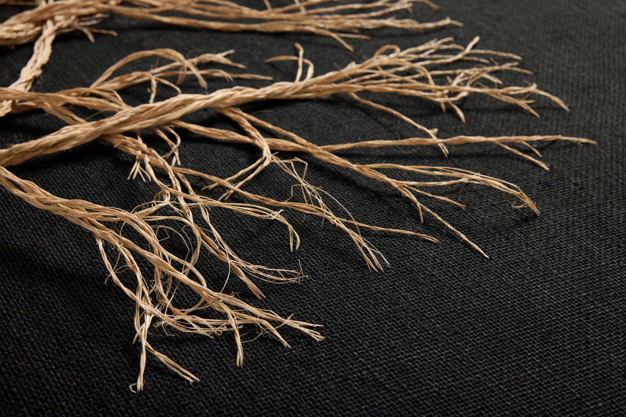 Rooted Black / Beige Rug Art - Wall Art Corner (V)