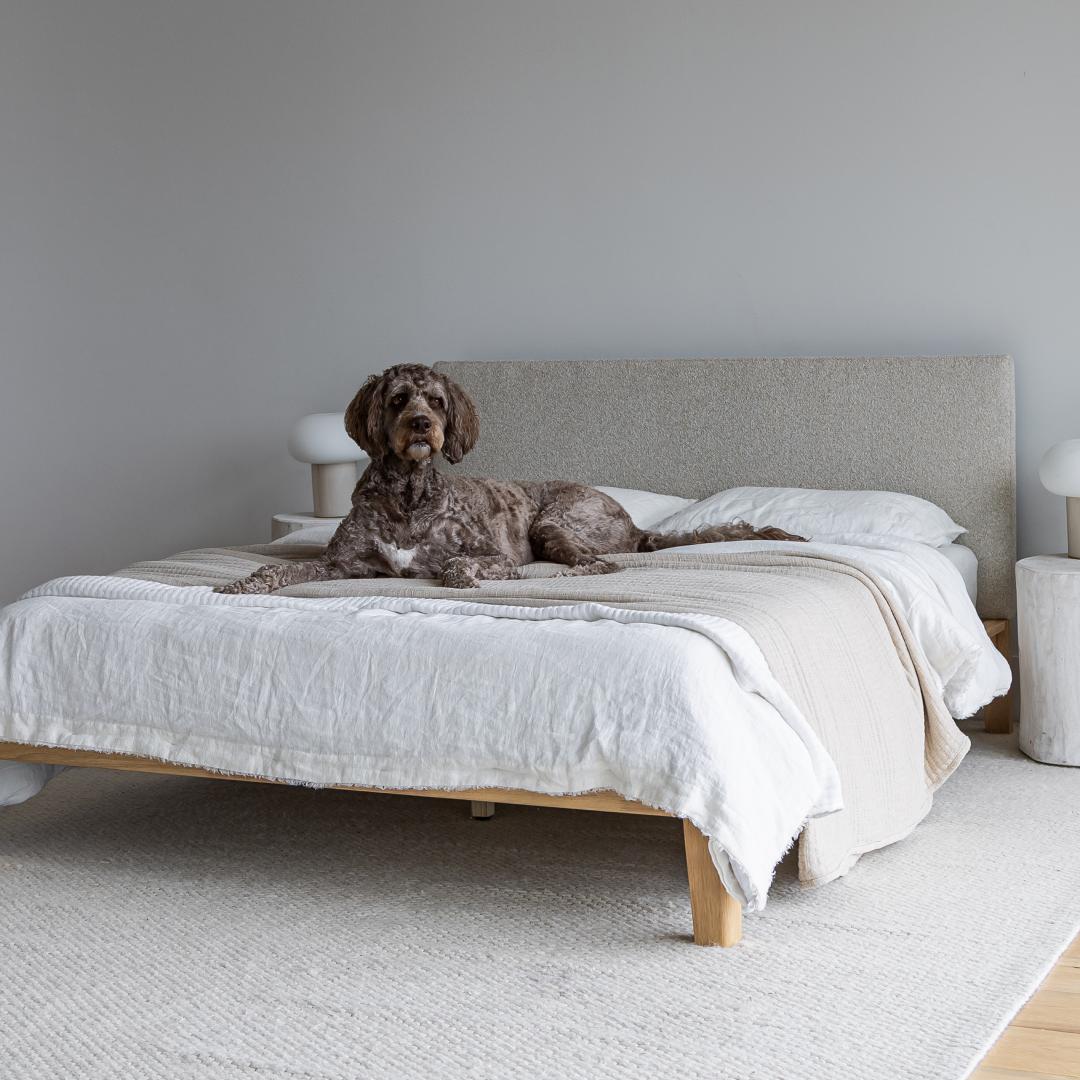 Lit king size sans outil Luna - Buff