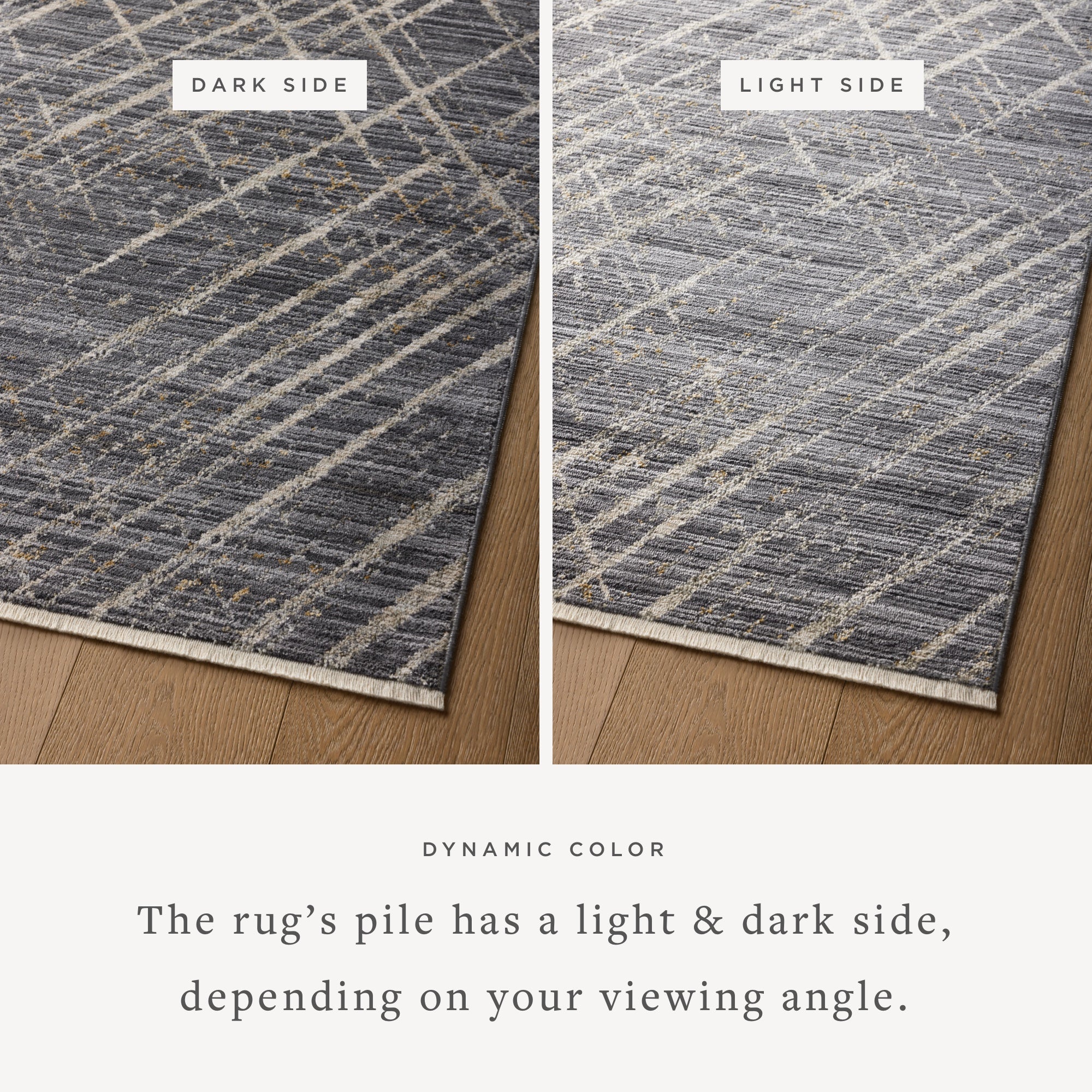 Wade Midnight / Beige - Styled Aerial #4 (H)