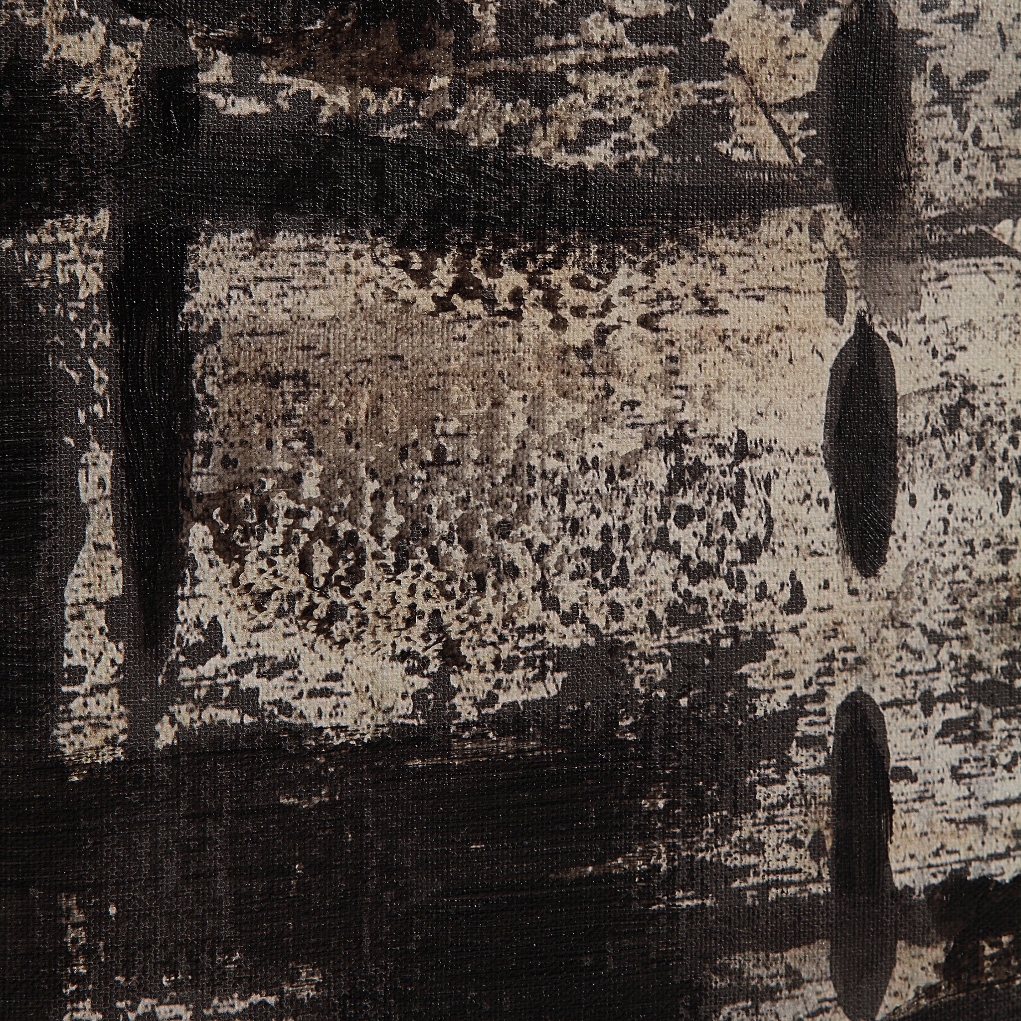 Close-up of Spica canvas art highlighting the abstract black and white texture details.