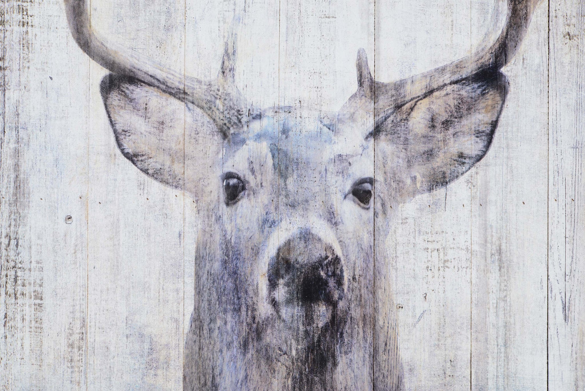 Gaze Wall Art depicting a close-up of a deer with antlers on a distressed wood surface.