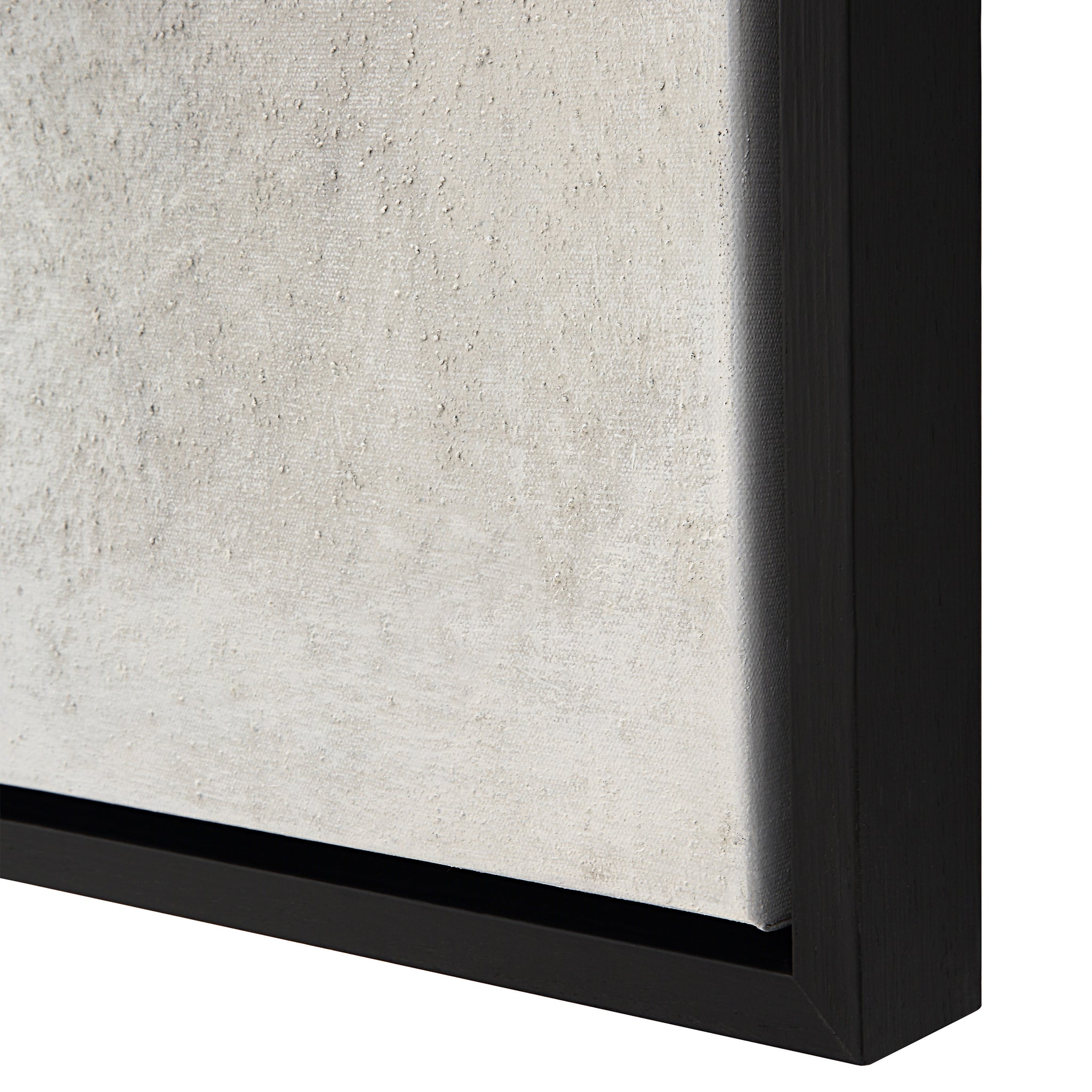 Webb canvas art featuring a textured light gray surface with a black wooden frame, viewed from an angle.