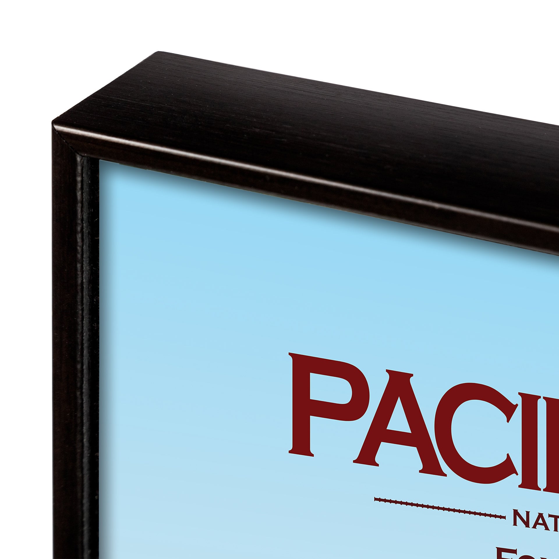 Framed artwork with 'PACIFIC NATIVE' text on a light blue background