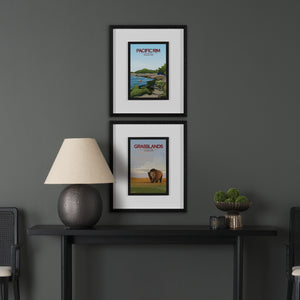 Two framed posters on a dark wall above a black console table with a lamp and plant.