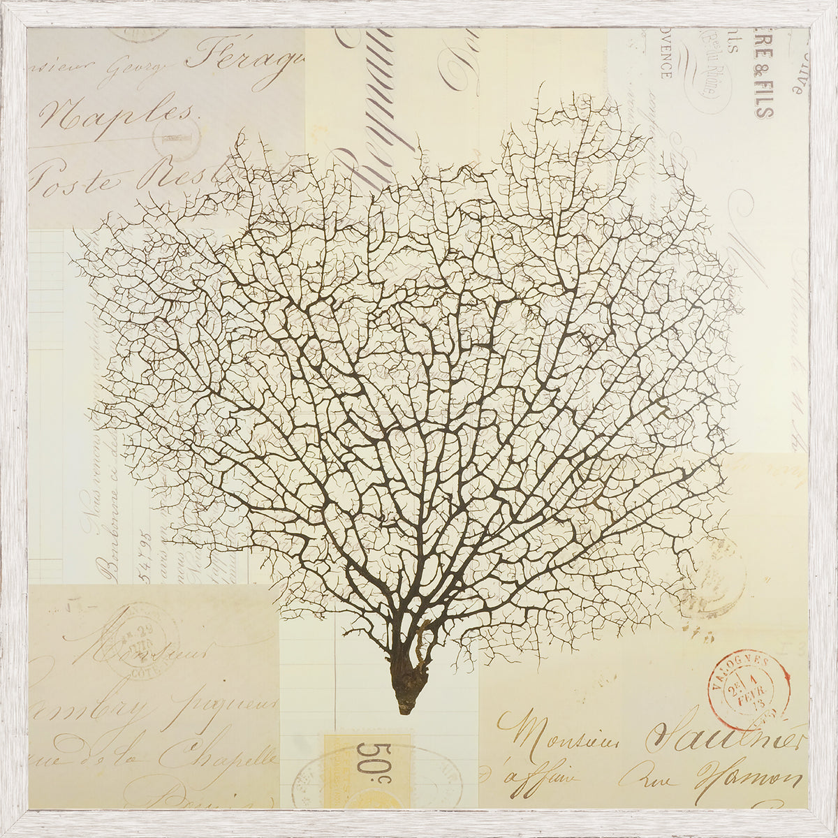 Document Sea Fern II wall art featuring a detailed sea fern illustration on vintage paper background.