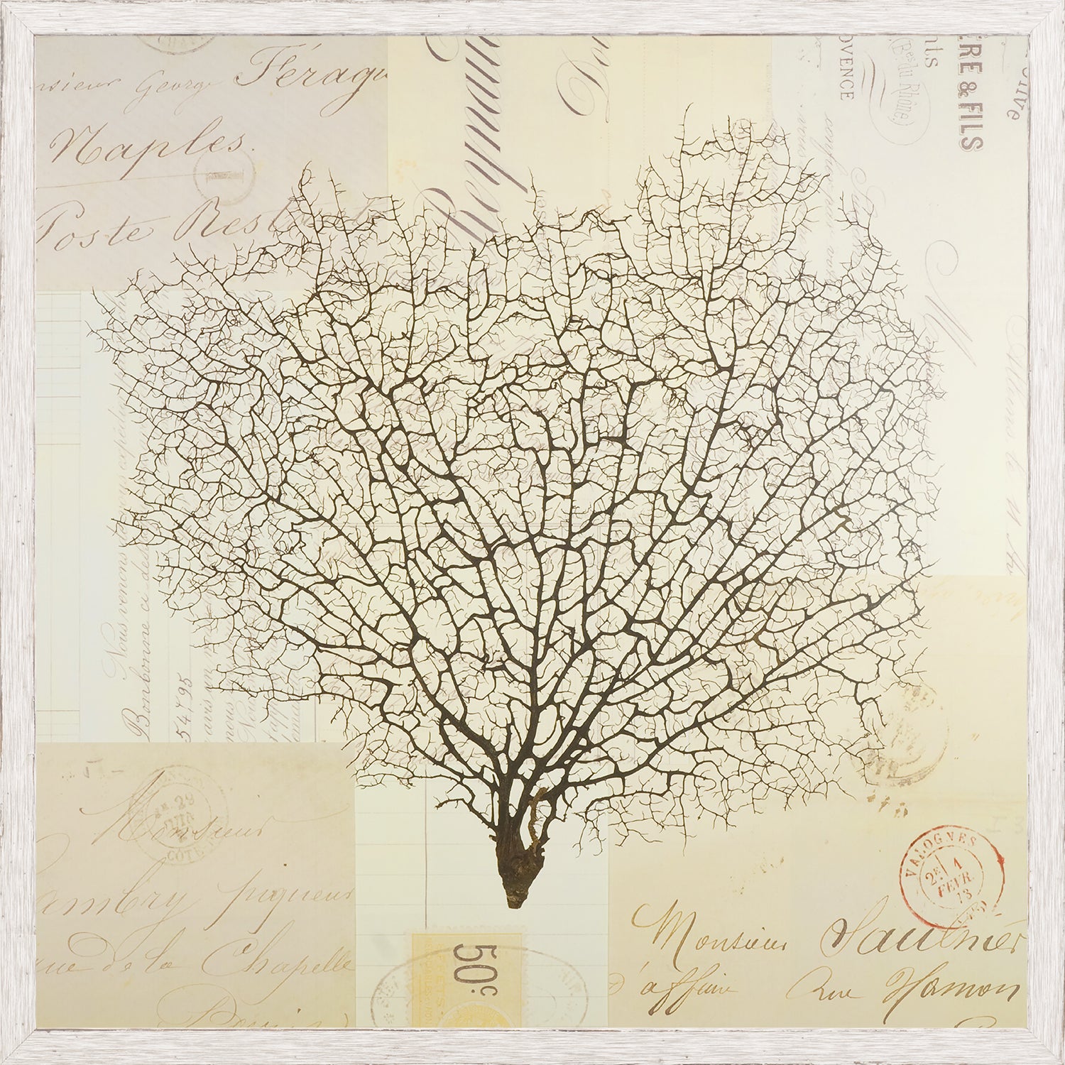 Document Sea Fern II wall art featuring a detailed sea fern illustration on vintage paper background.