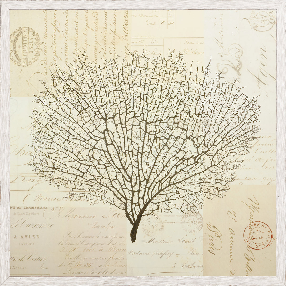 Document Sea Fern I wall art featuring a detailed fern illustration on vintage paper background.