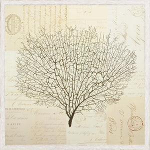 Document Sea Fern I wall art featuring a detailed fern illustration on vintage paper background.