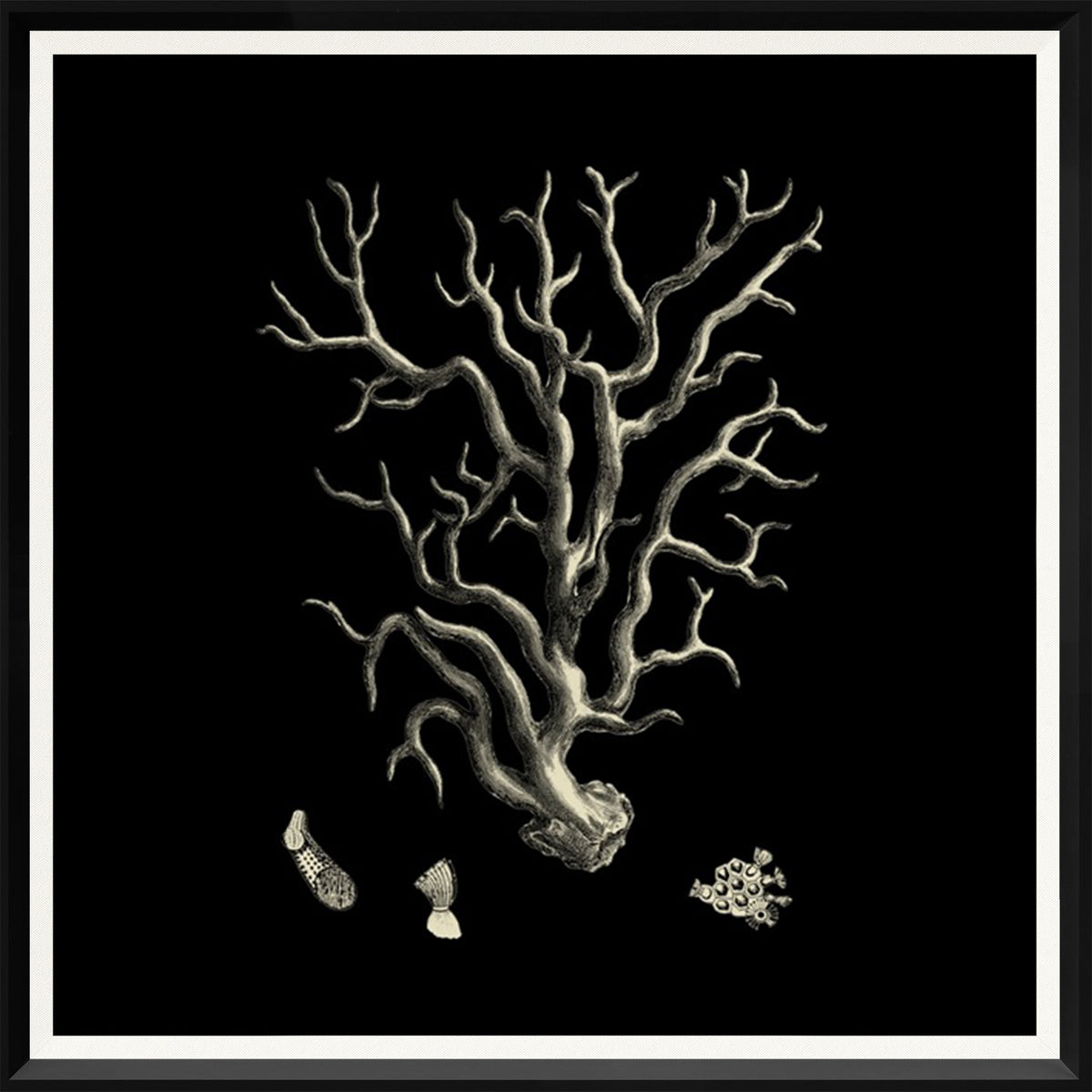 Black & Tan Coral I wall art featuring a detailed coral illustration on a black background.