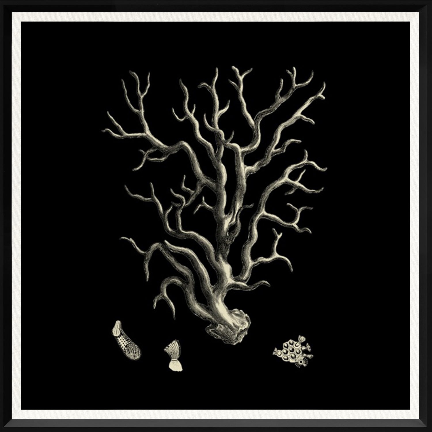 Black & Tan Coral I wall art featuring a detailed coral illustration on a black background.