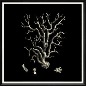 Black & Tan Coral I wall art featuring a detailed coral illustration on a black background.
