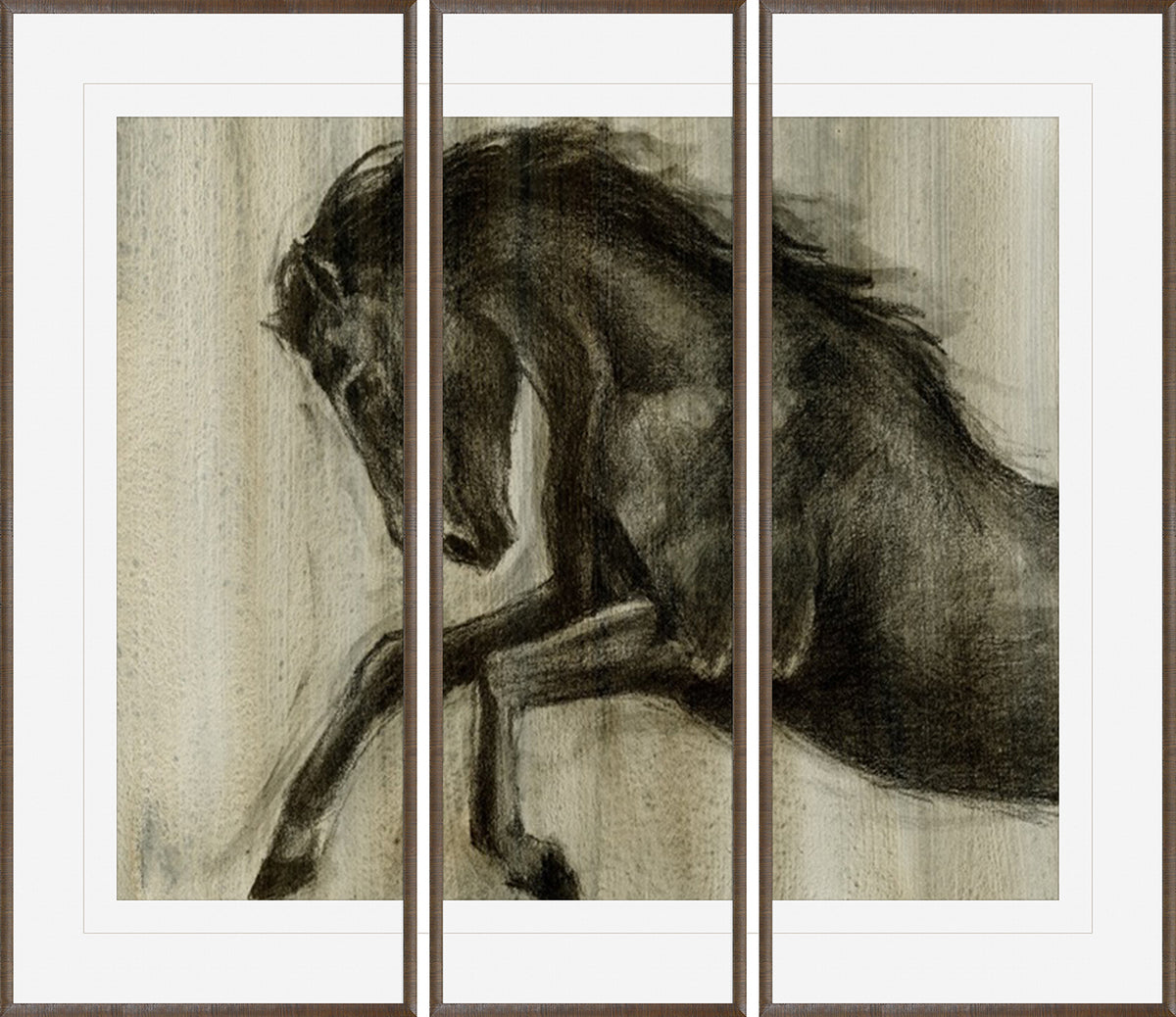 Dynamic Stallion II S/3