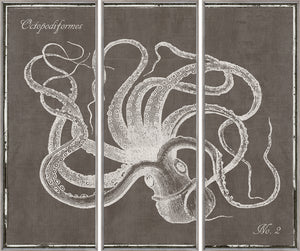 Tríptico de pulpo J/3