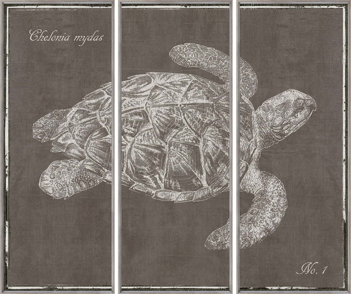 Triptyque Tortue de mer S/3