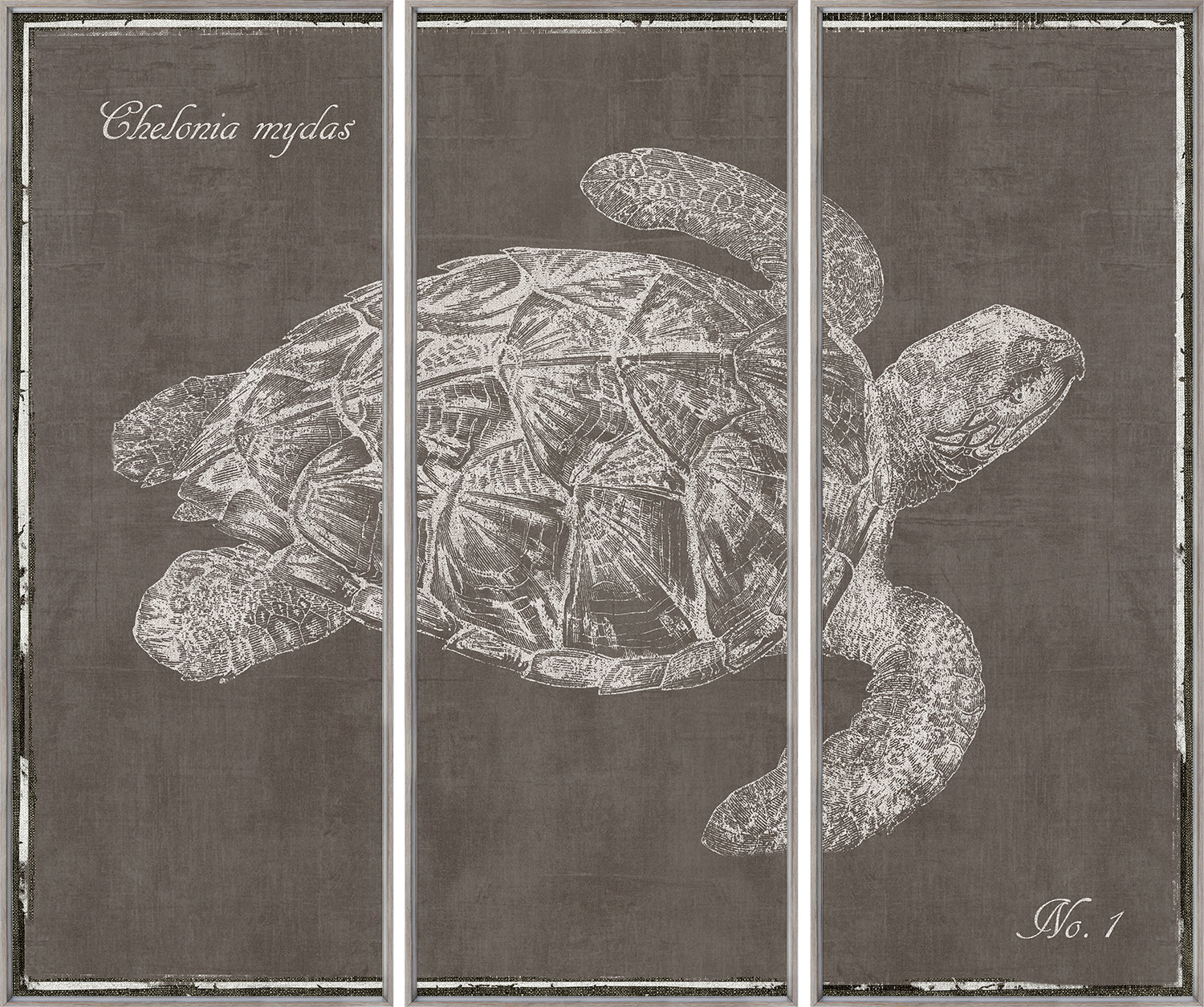Triptyque Tortue de mer S/3