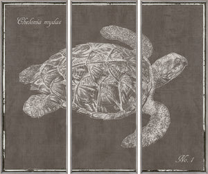 Triptyque Tortue de mer S/3