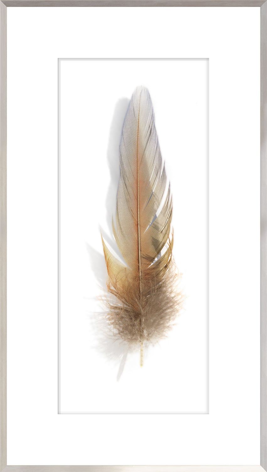 Une Plume II