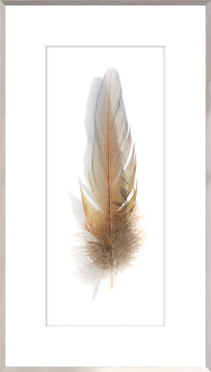 Une Plume II