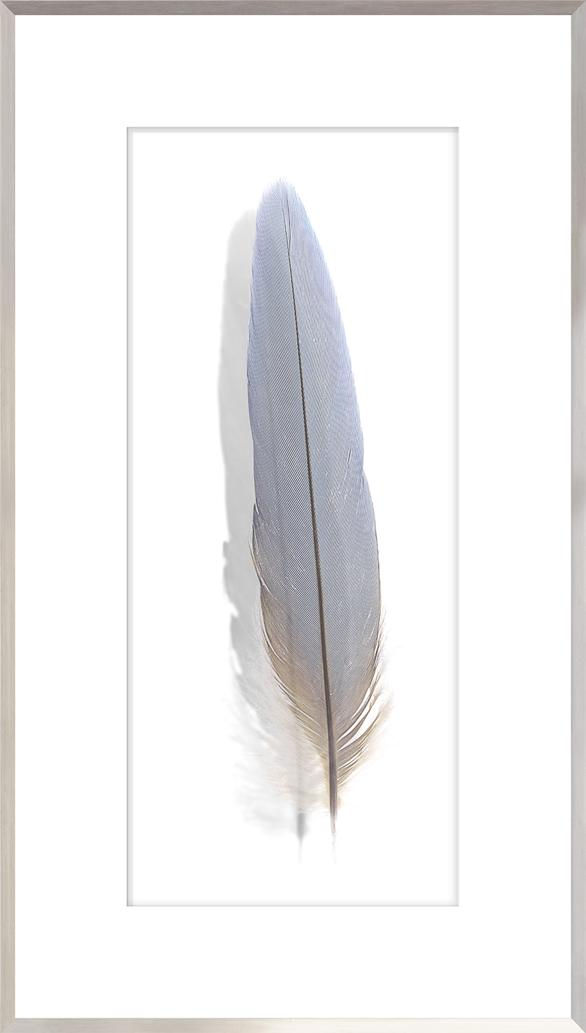 Una Pluma III
