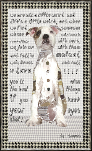 Inspiraciones caninas I