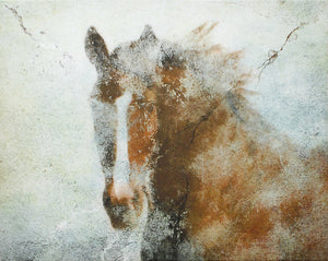 Castaño Fresco